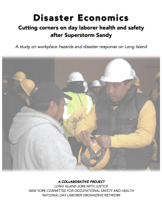 Disaster Economics Report Cover